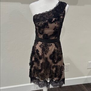 Pronovias Barcelona Elegant Black Lace One-Shoulder Dress